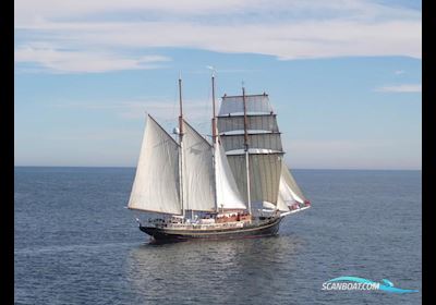 Royal Tallship 3-Mast Sail Schooner Bådtype ej oplyst 1937, med Caterpillar motor, Holland