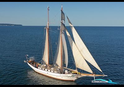 Schooner Topsail Bådtype ej oplyst 1965, med Daewoo motor, Holland