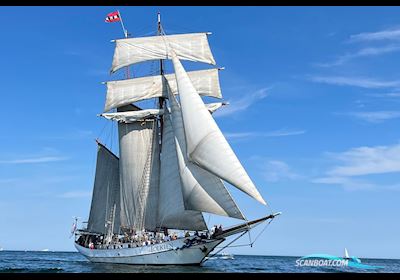 Schooner Topsail Båttyp Inte specificerat 1965, med Daewoo motor, Holland