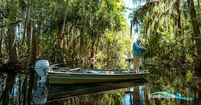 TOHATSU 9.9 pk injectie Boatengine 2026, The Netherlands