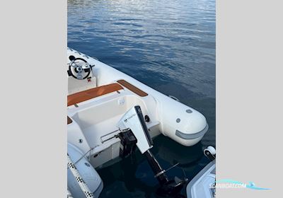 TOHATSU Alaris 6.0KW Boatengine , with tohatsu engine, The Netherlands