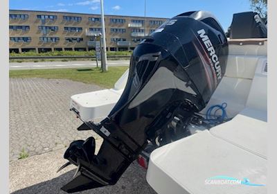 Mercury F115 EFI ELPT Bootsmotor 2024, Dänemark