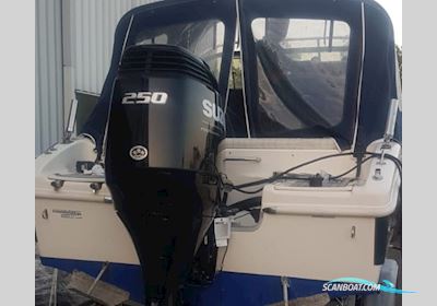 Suzuki DF 250 Apxx Bootsmotor 2022, Niederlande