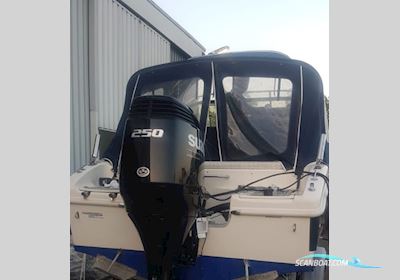 Suzuki DF 250 Apxx Bootsmotor 2022, Niederlande