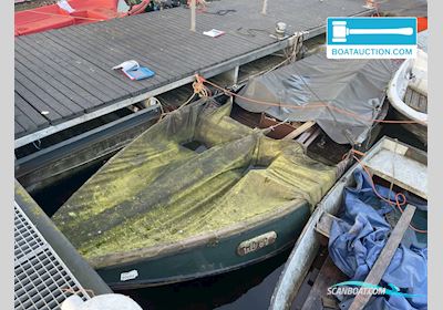 Punter 500 Dinghy 2024, with Onbekend engine, The Netherlands