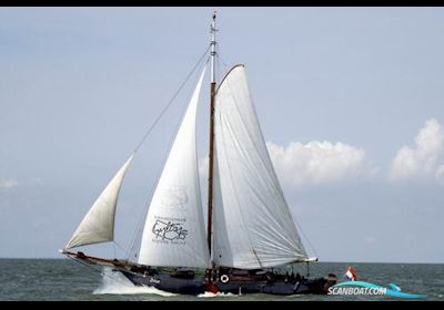Schokker Sailing Charter Ship Ex beroepsschepen 1994, met Daf motor, The Netherlands