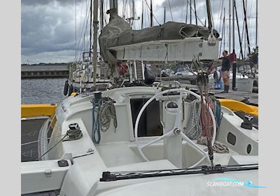 Amateur Farrier F-39 Trimaran Flerskrogsbåd 2019, med Yanmar 3YM30AE motor, Holland