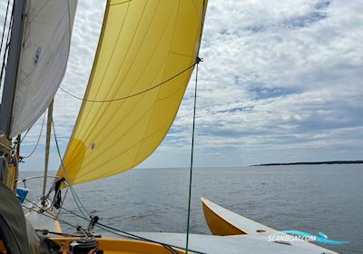Newick Val Trimaran Flerskrogsbåd 1980, med 2022 - Yamaha 8hp ‘High Trust’ motor, Polen