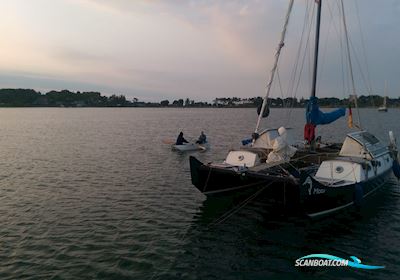 Wharram Pahi 31 Flerskrogsbåd 1983, med Yamaha FT 9,9 Gmhx motor, Tyskland