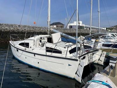 Heavenly Twins 27 Inflatable / Rib 1990, with Yanmar engine, Ireland