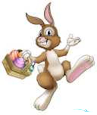 XCPRO 390CF Inflatable / Rib 2025, The Netherlands