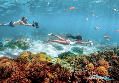 Sublue Jetski / Scooter / Jetboot 2022, Dänemark