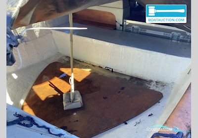 Open Boat 301 Jolle 2024, Niederlande