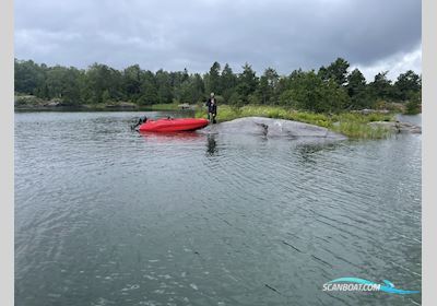 Seastorm 14 Jolle 2026, mit Mercury 30 Elpt motor, Dänemark
