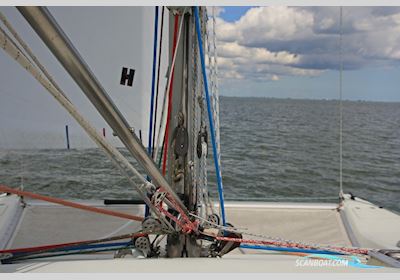 Bent E Hensen Havkat 27 Mehrrumpfboot 1981, mit Yamaha 9.9 motor, Niederlande