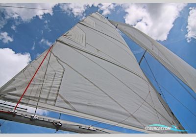 Bent E Hensen Havkat 27 Mehrrumpfboot 1981, mit Yamaha 9.9 motor, Niederlande
