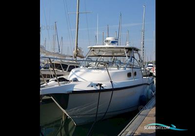 Boston Whaler 305 CONQUEST Motor boat 2005, with MERCURY engine, France