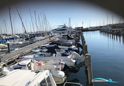 Crescent T-Rex V23 Motor boat 2009, with Evinrude E-Tec 115 engine, Denmark