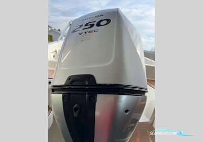 ATLANTIC 730 SC Motorbåd 2022, med HONDA 250 motor, Østrig