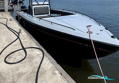 Baja 29 Offshore Motorbåd 2004, med Mercury Pro XS 250 motor, Tyskland