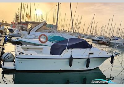 Bayliner 2052 Trophy WA Motorbåd 2007, med Mercruiser motor, Spanien