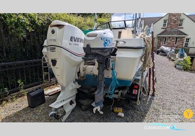 Bayliner Trophy Walkaround 2102 Motorbåd 1993, med Evinrude Etec motor, England