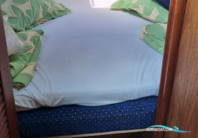 Bertram 30 Fly Motorbåd 1986, med Yanmar motor, Danmark