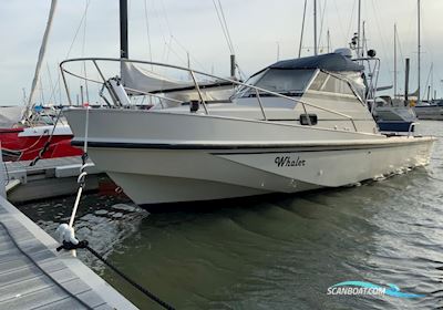 Boston Whaler Revenge 25 Walk Around - Ny Motor / New Engine Motorbåd 1989, med Mercruiser 6.2L 300 motor, Tyskland