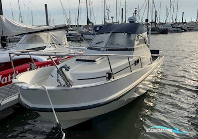 Boston Whaler Revenge 25 Walk Around - Ny Motor / New Engine Motorbåd 1989, med Mercruiser 6.2L 300 motor, Tyskland