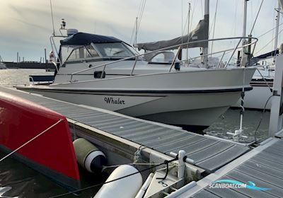 Boston Whaler Revenge 25 Walk Around - Ny Motor / New Engine Motorbåd 1989, med Mercruiser 6.2L 300 motor, Tyskland