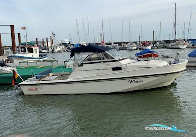 Boston Whaler Revenge 25 Walk Around - Ny Motor / New Engine Motorbåd 1989, med Mercruiser 6.2L 300 motor, Tyskland