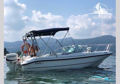 Boston Whaler Ventura 18 Motorbåd 1998, med Evinrude Outboard Motors motor, Tyskland