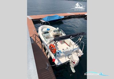 Boston Whaler Ventura 18 Motorbåd 1998, med Evinrude Outboard Motors motor, Tyskland