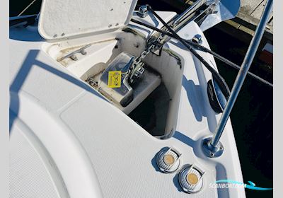 Chaparral 290 Signature Motorbåd 2009, med Volvo Penta 5.0 GX-J (2 x 225 HK) motor, Danmark