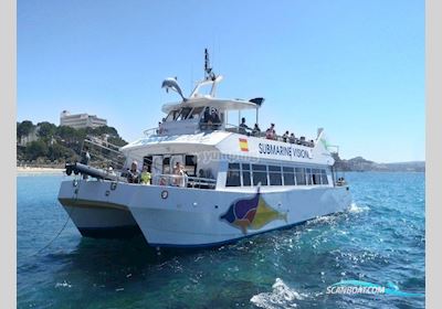 Commercial Catamaran Motorbåd 1995, med Man motor, Spanien