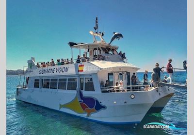 Commercial Catamaran Motorbåd 1995, med Man motor, Spanien