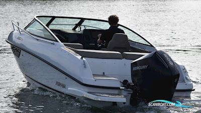 Flipper 650 DC Motorbåd 2021, Sverige
