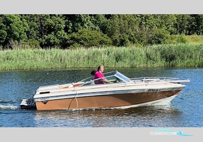 Formula Thunderbird 20 GL Motorbåd 1983, med Mercury Mercruiser type 4.5 motor, Holland
