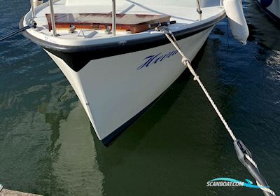 Luna 26 Motorbåd 1974, med Volvo Penta 2002 motor, Danmark