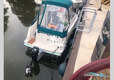 Maxum 2400 Scr Motorbåd 1996, med Mercury Marine motor, Tyskland