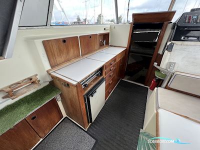 Neptim 8000 Motorbåd 1979, med Ford motor, Danmark