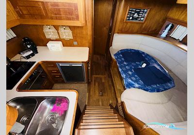Neptunus 145 Flybridge Motorbåd 1987, med Volvo Penta Tamd motor, Tyskland