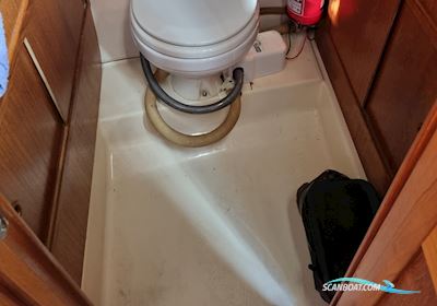 Nimbus 2600 Motorbåd 1987, med Volvo Penta Tamd31P motor, Danmark