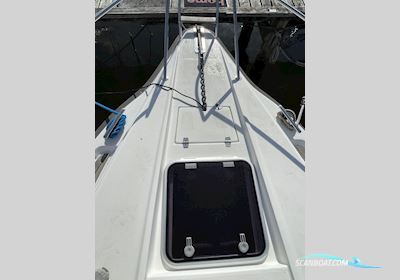 Nimbus 310 Coupe, SOLGT Motorbåd 1997, med Yanmar motor, Danmark