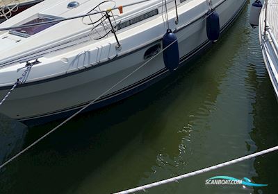 Nimbus 310 Coupe Motorbåd 1997, med Yanmar motor, Tyskland