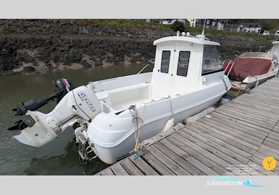 Quicksilver 500 Pilothouse Motorbåd 2002, med Evinrude ETEC motor, England