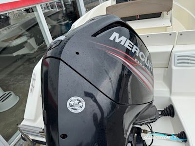 Quicksilver Activ 505 Open med F80 Mercury-EFI 4 takt 2,1L - INKL. udstyr - ENGROS SALG Motorbåd 2017, med Mercury motor, Danmark