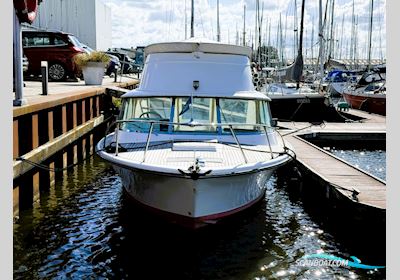 Riva Bertram 25 Sport Fisherman Motorbåd 1974, med Mercruiser  motor, Holland