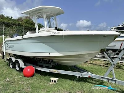 Robalo R242 Motorbåd 2020, med Yamaha motor, USA