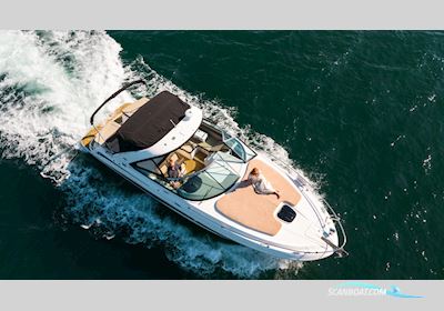 SEARAY  Fortune 370 Motorbåd 2014, Danmark